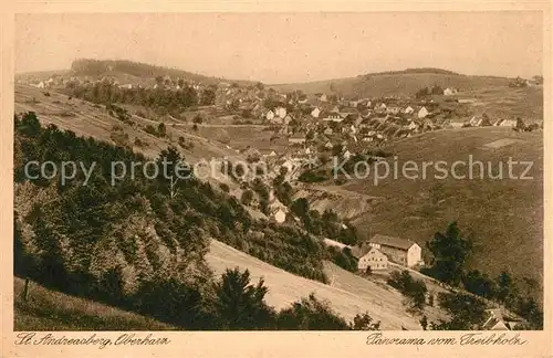 AK / Ansichtskarte St_Andreasberg_Harz Panorama vom Treibholz St_Andreasberg_Harz