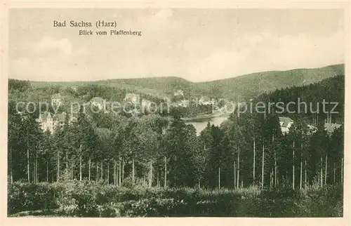AK / Ansichtskarte Bad_Sachsa_Harz Blick vom Pfaffenberg Bad_Sachsa_Harz