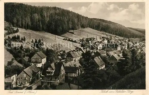 AK / Ansichtskarte Bad_Grund Blick vom Gittelder Berg Bad_Grund