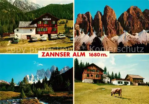 AK / Ansichtskarte Villnoestal Zannser Alm Drei Zinnen Kuh Villnoestal
