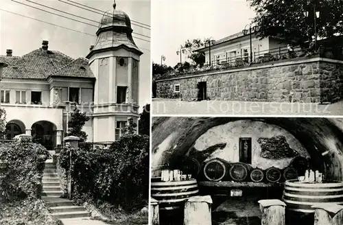 AK / Ansichtskarte Abrahamhegy Restaurant Weinkeller 