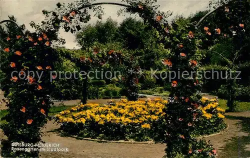 AK / Ansichtskarte Meiderich_Duisburg Rosengarten im Stadtpark Meiderich Duisburg