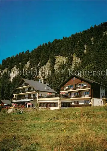 AK / Ansichtskarte Riederalp Hotel Restaurant Adler Riederalp