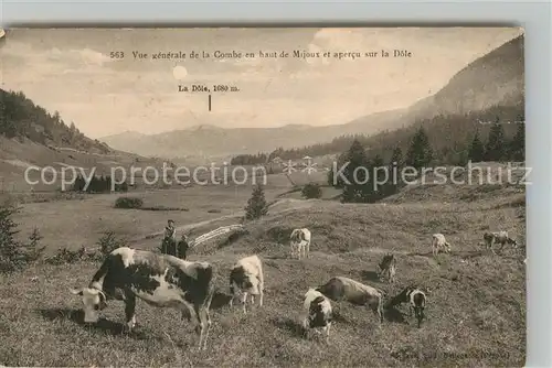 AK / Ansichtskarte Donville les Bains Vue generale de la Combe en haut de Mijoux et apercu sur la Dole Donville les Bains