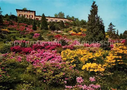 AK / Ansichtskarte Carona San Grato Parco botanico Botanischer Garten Carona