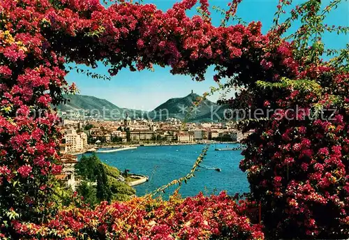 AK / Ansichtskarte Como_Lago_di_Como Blumenranken Durchblick zur Stadt Como_Lago_di_Como