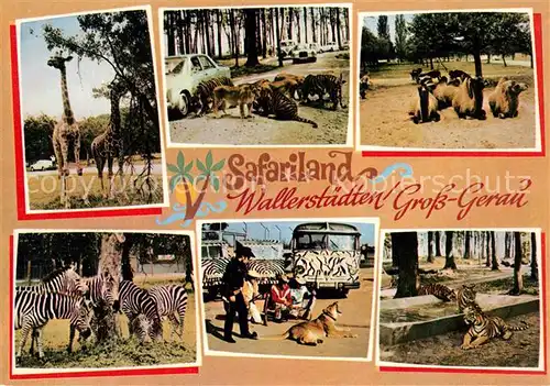 AK / Ansichtskarte Gross Gerau Safariland Wallerstaedten Gross Gerau