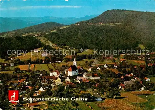 AK / Ansichtskarte Gams_Bad Fliegeraufnahme Kirche Gams_Bad