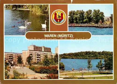 AK / Ansichtskarte Waren_Mueritz Park Schwimmbad Schwaene Waren Mueritz