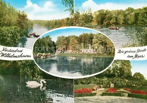AK / Ansichtskarte Wilhelmshaven Stadtpark Schwan Wilhelmshaven