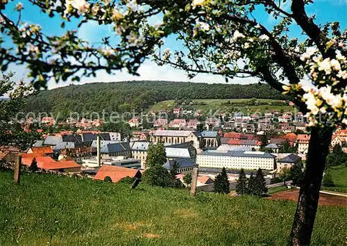 AK / Ansichtskarte Ebrach_Oberfranken Panorama Ebrach Oberfranken