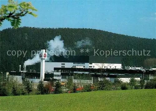 AK / Ansichtskarte Warstein Warsteiner Brauerei im Waldpark Warstein