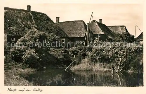 AK / Ansichtskarte Hallig_Nordsee Warft Hallig Nordsee
