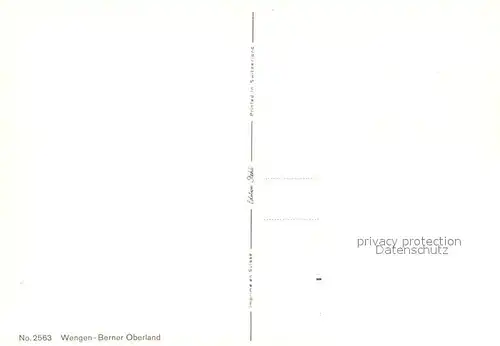 AK / Ansichtskarte Wengen_BE Berggasthaus Wengen_BE