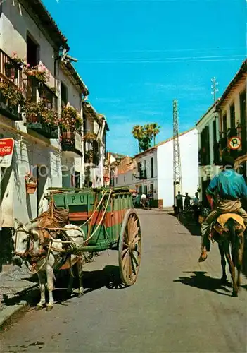 AK / Ansichtskarte Alicante Calle tipica Lasttiere Alicante