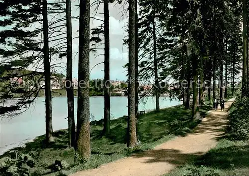 AK / Ansichtskarte Hahnenklee Bockswiese_Harz Promenade am Kranichteich Hahnenklee Bockswiese