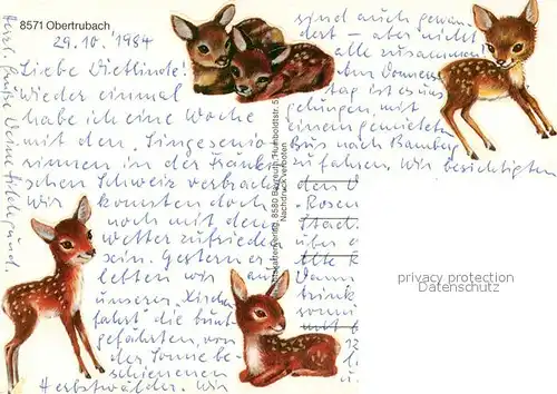 AK / Ansichtskarte Obertrubach Panorama Obertrubach