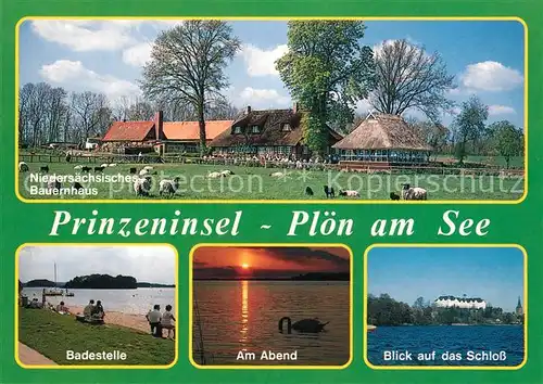 AK / Ansichtskarte Ploen_See Niedersaechsisches Bauernhaus Schafe Badestrand Abendstimmung Schloss Ploen_See