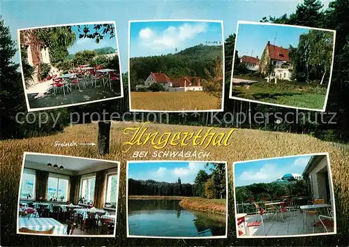 AK / Ansichtskarte Ungerthal Ausflugsort Pension Terrasse See Sommerfrische 