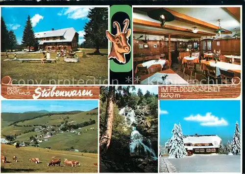 AK / Ansichtskarte Todtnauberg Berggasthaus Stuebenwasen Feldberggebiet Schwarzwald Wasserfall Todtnauberg