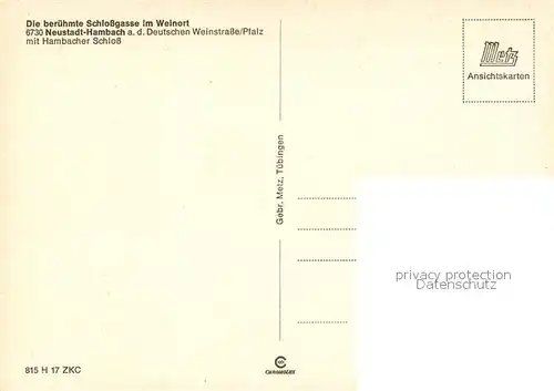 AK / Ansichtskarte Hambach_Neustadt Hambacher Schloss Schlossgasse Hambach_Neustadt