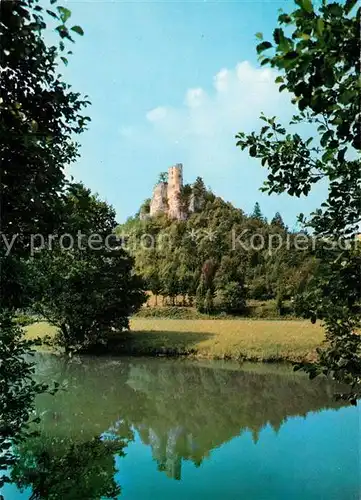 AK / Ansichtskarte Neideck Burgruine Neideck