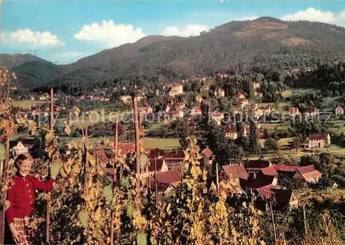 AK / Ansichtskarte Badenweiler Oktoberstimmung Badenweiler