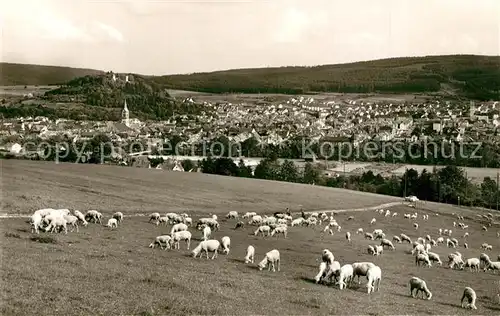 AK / Ansichtskarte Tuttlingen Panorama Schafherde Tuttlingen