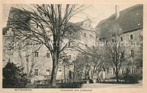 AK / Ansichtskarte Wittenberg_Lutherstadt Lutherhof Wittenberg_Lutherstadt