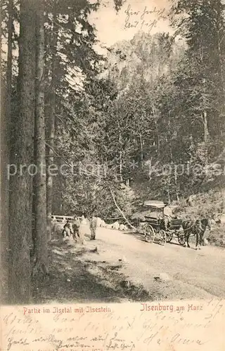 AK / Ansichtskarte Ilsenburg_Harz Ilsetal Ilsestein Pferdekutsche Ilsenburg Harz