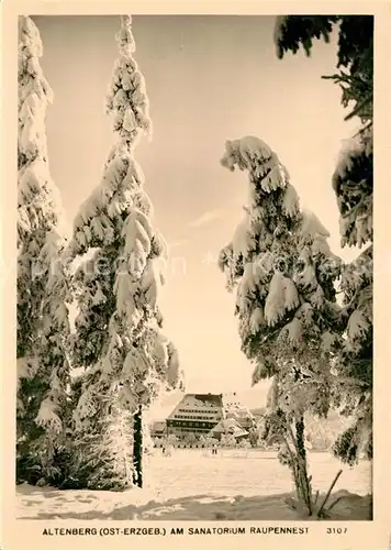 AK / Ansichtskarte Altenberg_Erzgebirge Snatorium Raupennest Altenberg Erzgebirge