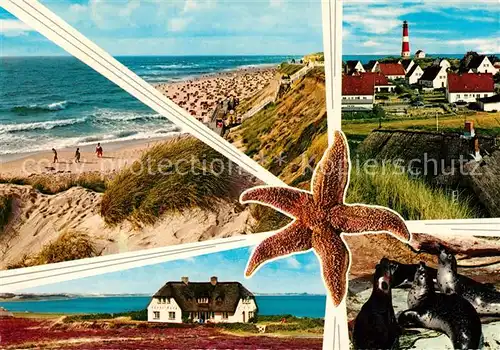 AK / Ansichtskarte Sylt  Sylt