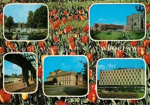 AK / Ansichtskarte Wroclaw Park Hochhaus Opernhaus Hotel Tulpenbeet Wroclaw