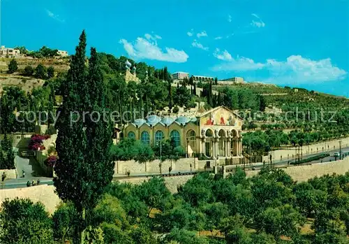 AK / Ansichtskarte Jerusalem_Yerushalayim Church of Gethsemane Kirche Jerusalem_Yerushalayim