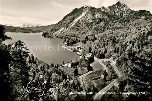 AK / Ansichtskarte Walchensee Kesselbergstrasse Herzogstand Landschaftspanorama Alpen Walchensee