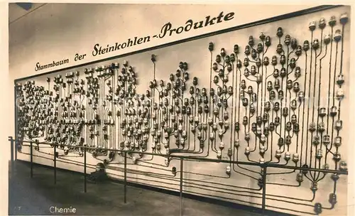 AK / Ansichtskarte Muenchen Deutsches Museum Stammbaum der Steinkohlenprodukte Muenchen