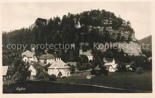 AK / Ansichtskarte Oybin Burg Oybin Kirche Panorama Oybin