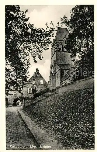 AK / Ansichtskarte Ratzeburg Steintor Ratzeburg