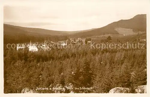 AK / Ansichtskarte Schierke_Harz Eckerloch Schierke Harz