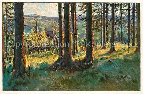 AK / Ansichtskarte Rehefeld Zaunhaus Jagdschloss Abendstimmung Kuenstlerkarte Rehefeld Zaunhaus