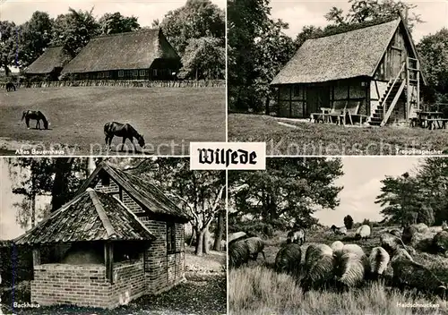AK / Ansichtskarte Wilsede_Lueneburger_Heide Altes Bauerhaus Treppenspeicher Backhaus Wilsede_Lueneburger_Heide