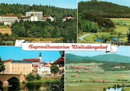 AK / Ansichtskarte Windischbergerdorf Bayerwaldsanatorium Regen mit Lamberg Cham Panorama Windischbergerdorf