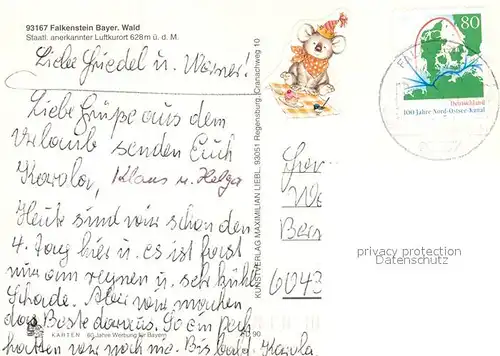 AK / Ansichtskarte Falkenstein_Oberpfalz Panorama Burg Kapelle Froschmaul Klause Falkenstein_Oberpfalz