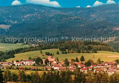 AK / Ansichtskarte Drachselsried Gasthof Pension Lindenwirt Panorama Drachselsried