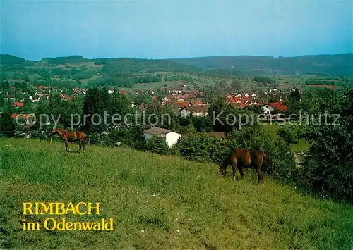 AK / Ansichtskarte Rimbach_Odenwald Panorama Rimbach Odenwald