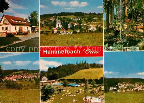 AK / Ansichtskarte Hammelbach Teilansichten Brunnen Schwimmbad Hammelbach