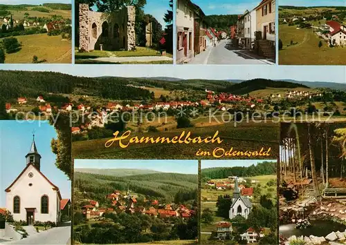 AK / Ansichtskarte Hammelbach Ruine Dorfstrasse Kirche Panorama Brunnen Hammelbach