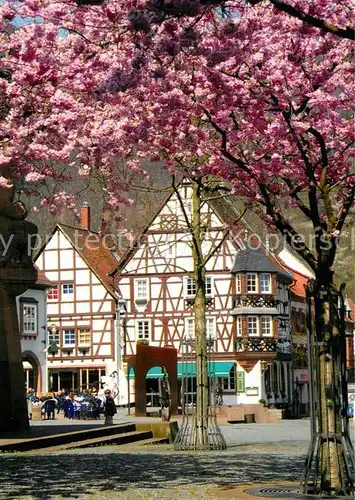 AK / Ansichtskarte Annweiler_Trifels Fachwerkhaus Annweiler_Trifels