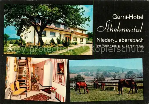AK / Ansichtskarte Nieder Liebersbach Garni Hotel Schelmental Pferdekoppel Nieder Liebersbach