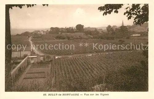 AK / Ansichtskarte Rilly la Montagne les Vignes Rilly la Montagne